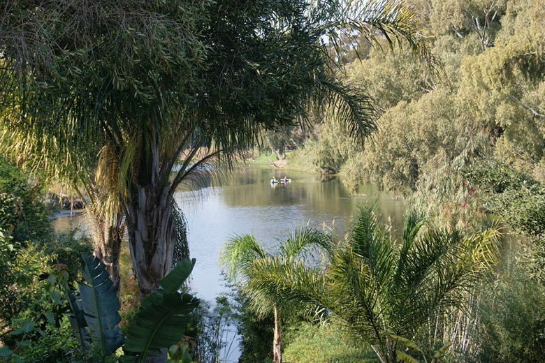 View from A Shady Creek Cottage